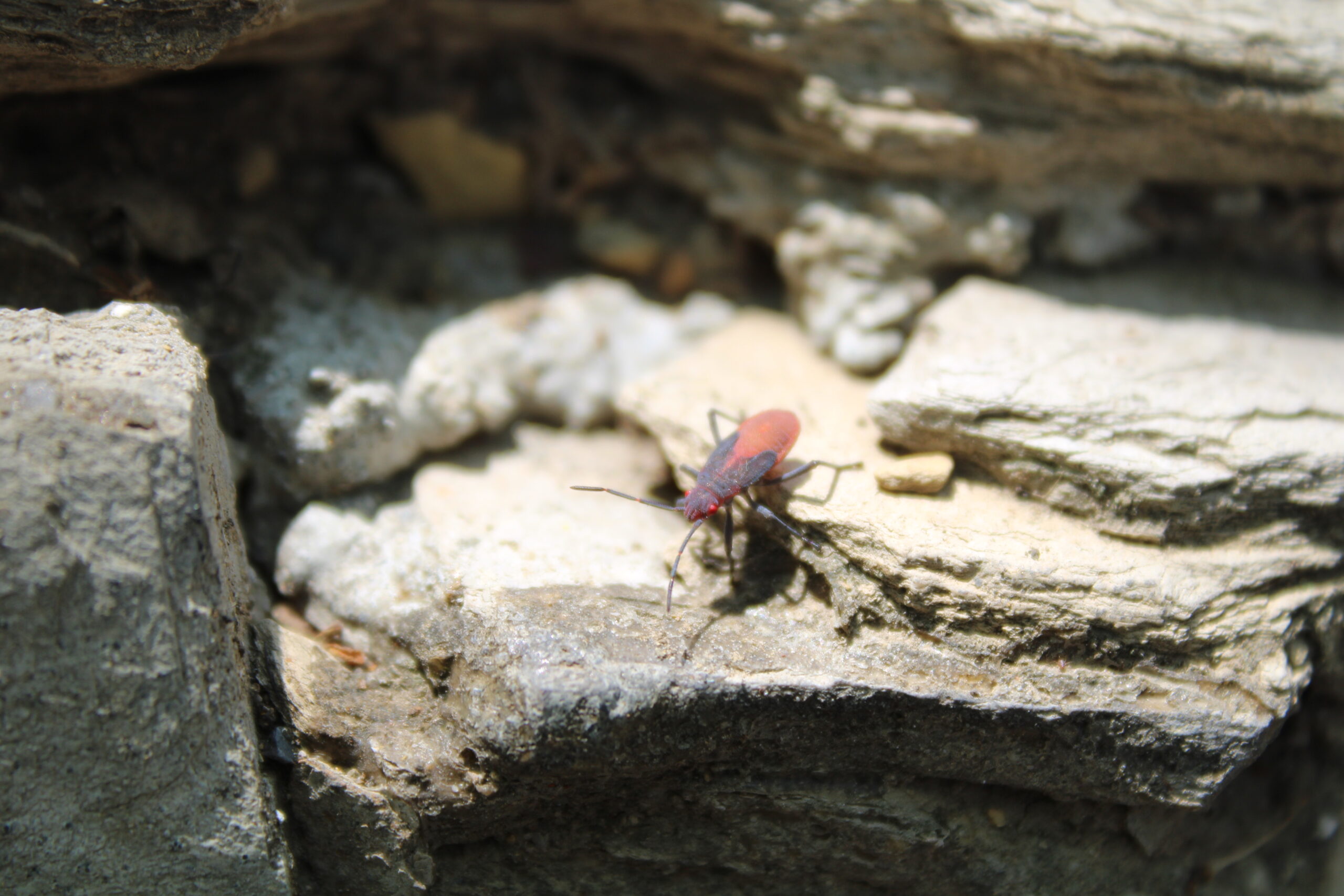 20220429113817_IMG_2325